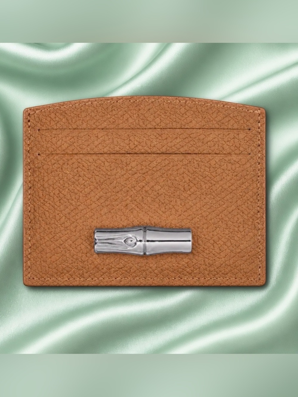 LONGCHAMP “Le Roseau” Cardholder with Silver Metal Ikon. Brand new! Never used!
